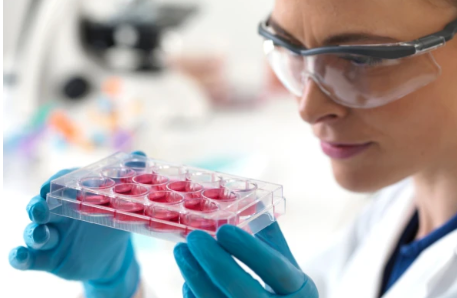 Stem Cells in Viral Therapy Can They Cure Herpes