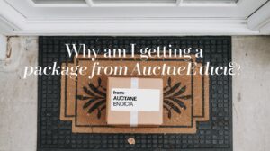 Why You Got a Package from Auctane Endicia (Even If You Didn’t Order It)