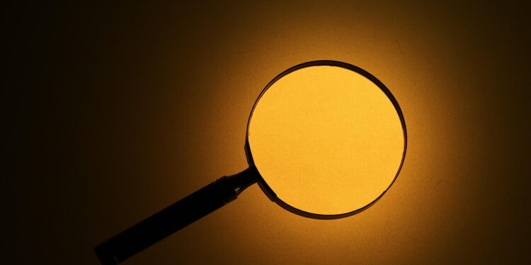 Private Investigator