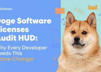 Doge Software Licenses Audit HUD