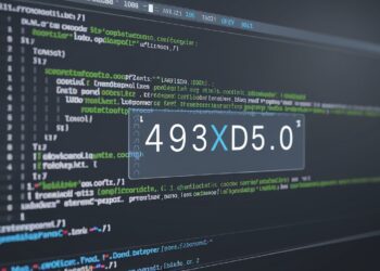 What is 493xds5.0 in software?