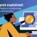 STC Jagnet Explained: The Digital Platform Transforming Connectivity and Security