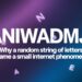 Xaniwadmjiz — Why a Random String of Letters Became a Small Internet Phenomenon