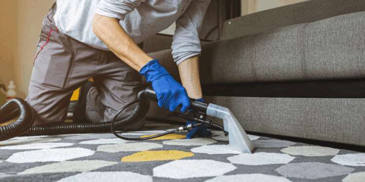 Effective Carpet Cleaning with Prolux: A Complete Guide to Fresh and Spotless Carpets