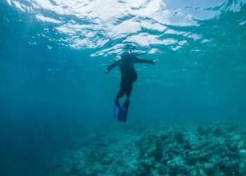 Maldives Scuba Diving