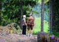 Essential Vaccines for Seniors to Maintain Health and Well-Being