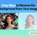 Easy Ways to Remove the Background from Your Image