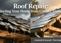Roof Repair: Protecting Your Home from Costly Damage