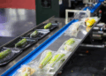 How Advanced Pouch Making Technology is Shaping the Innovations of Food Packaging Suppliers