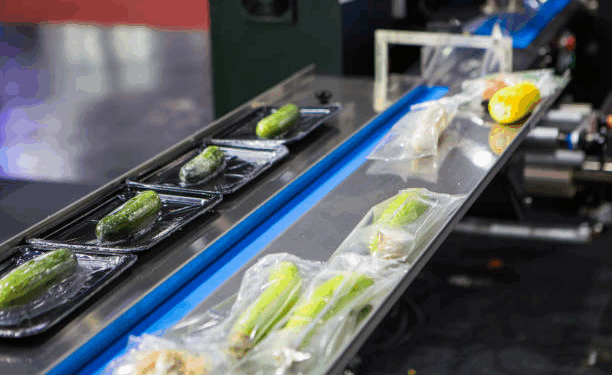 How Advanced Pouch Making Technology is Shaping the Innovations of Food Packaging Suppliers