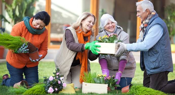 Creating a Vibrant Community: Activities That Engage Senior Residents