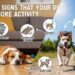 COMMON SIGNS THAT YOUR DOG NEEDS MORE ACTIVITY